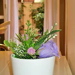 We It - Bestbnb Garbatella Appartamento *