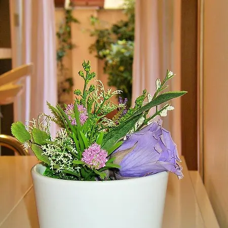 We It - Bestbnb Garbatella 公寓 *